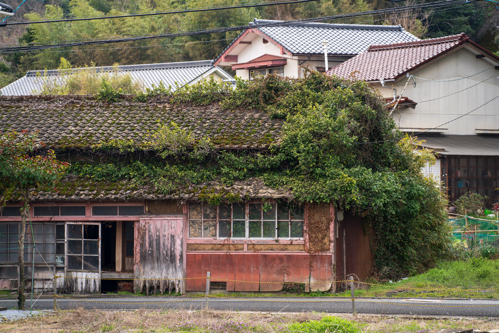 福島口駅の山側にある蔦に覆われた建物(2026年3月)