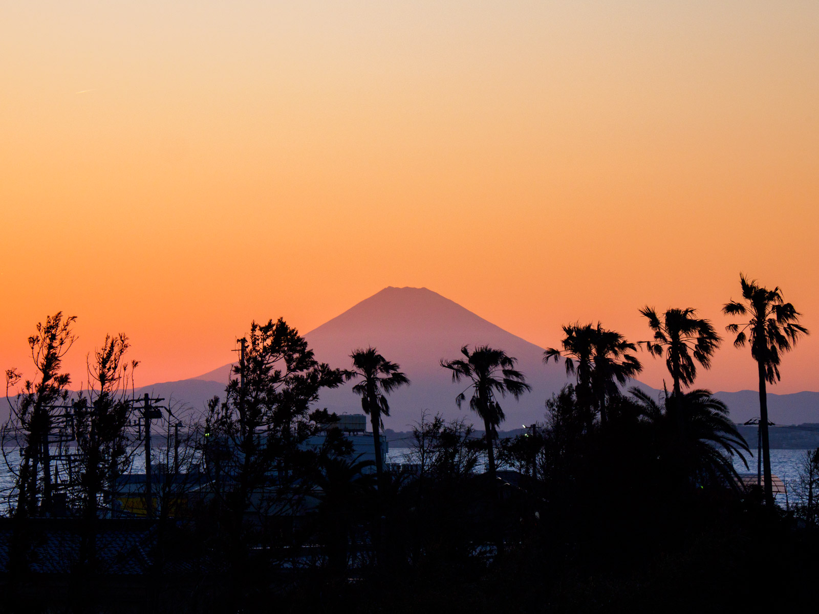 浜金谷駅の跨線橋から見た、夕暮れに赤らむ富士山(2020年3月)