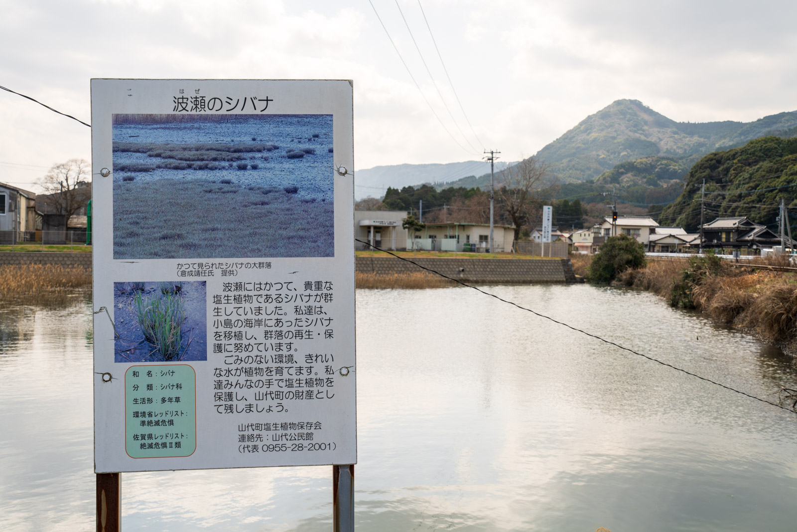 波瀬駅付近の水域とシバナの案内板(2026年3月)