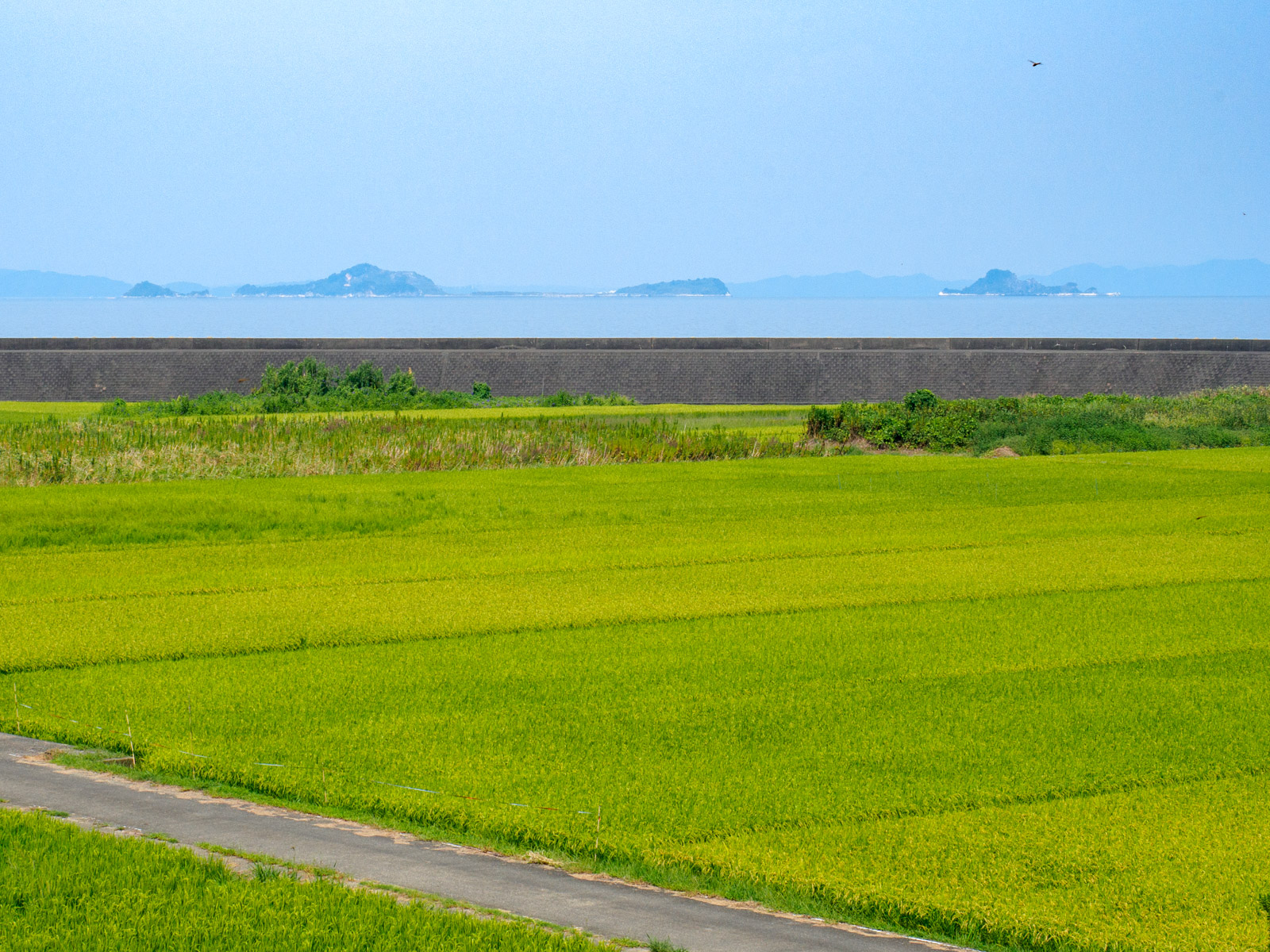 肥後二見駅の跨線橋から見た、八代海と大築島・小築島（2016年9月）