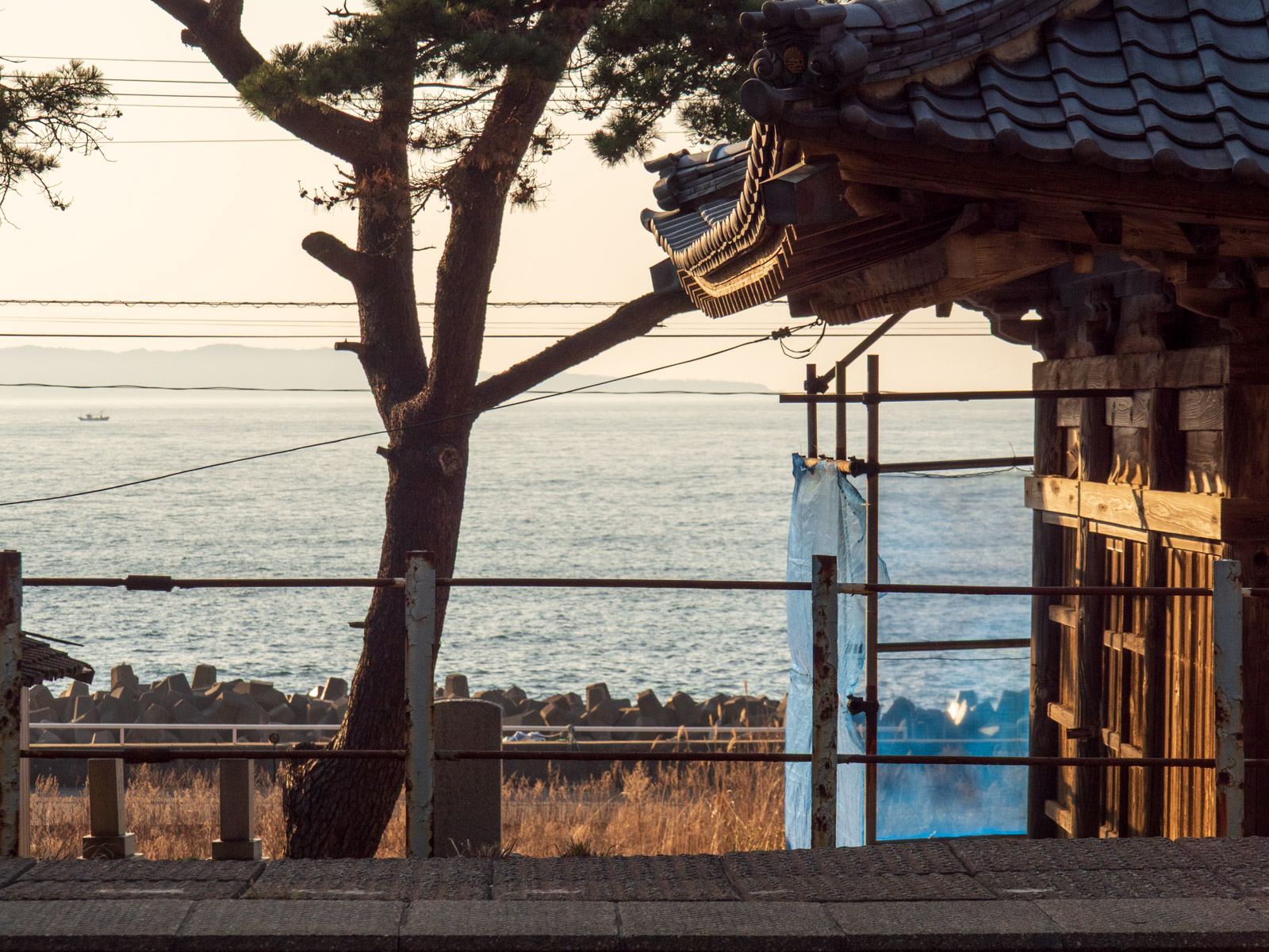 今川駅から見た、大雲寺のお堂と夕暮れの日本海(2016年3月)