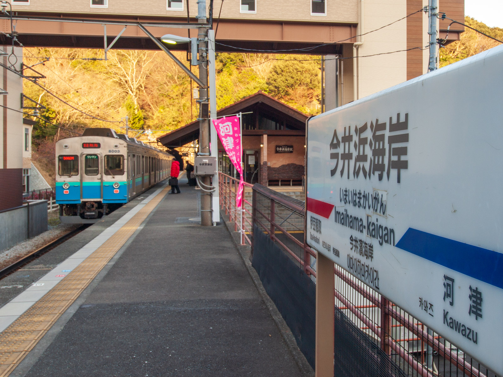 今井浜海岸駅の駅名標と、ホームに到着した列車（2013年2月）