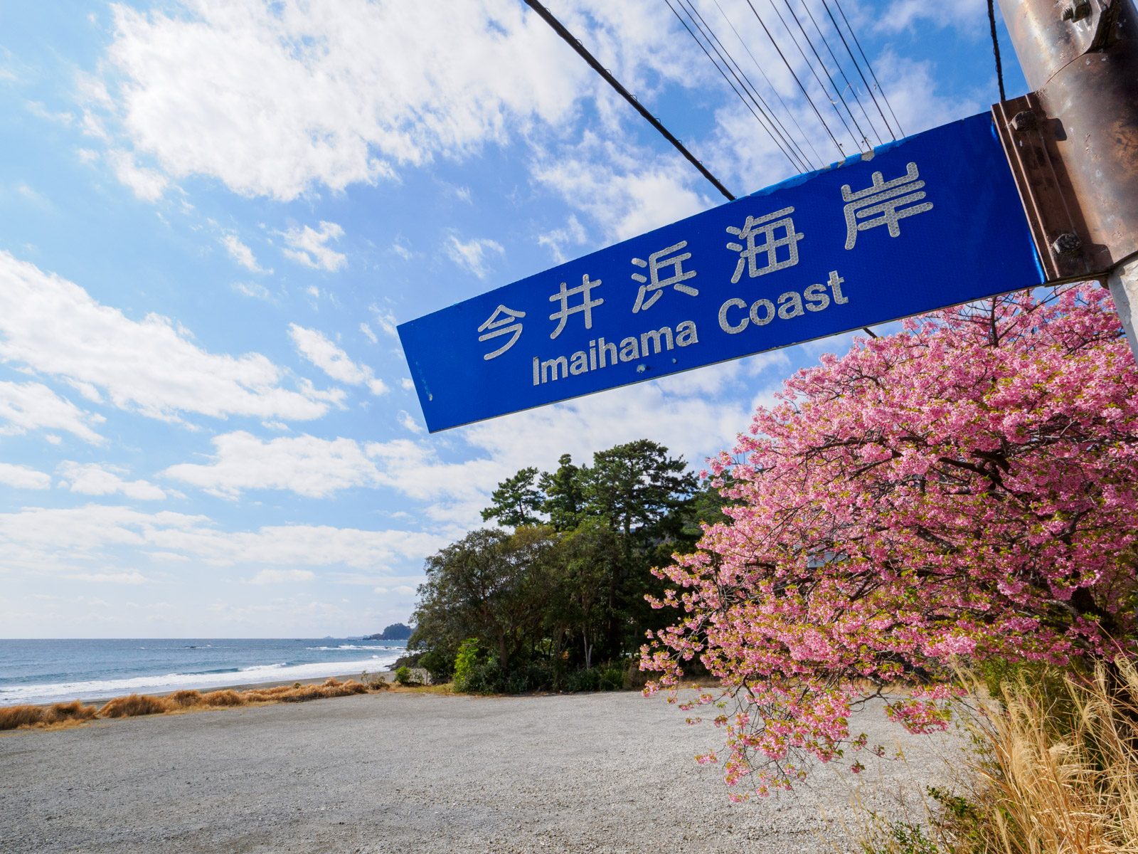 今井浜海岸駅のそばにある、今井浜海岸の看板(2025年3月)