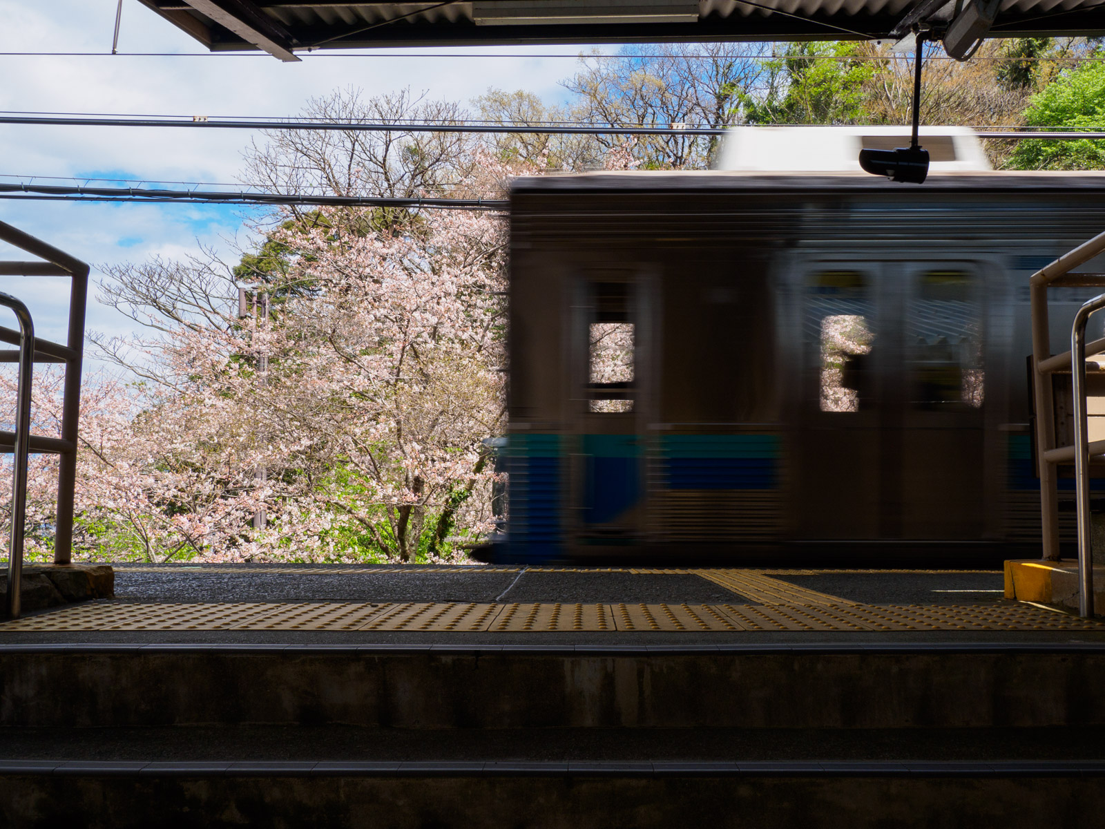 桜を背景に、伊豆北川駅に到着した普通列車（2022年3月）