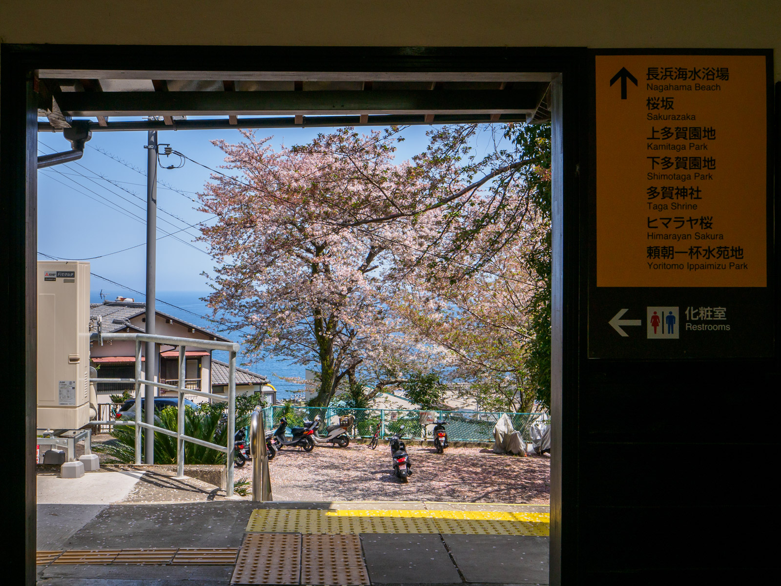 伊豆多賀駅の駅舎から見た、桜と相模灘（2024年4月）