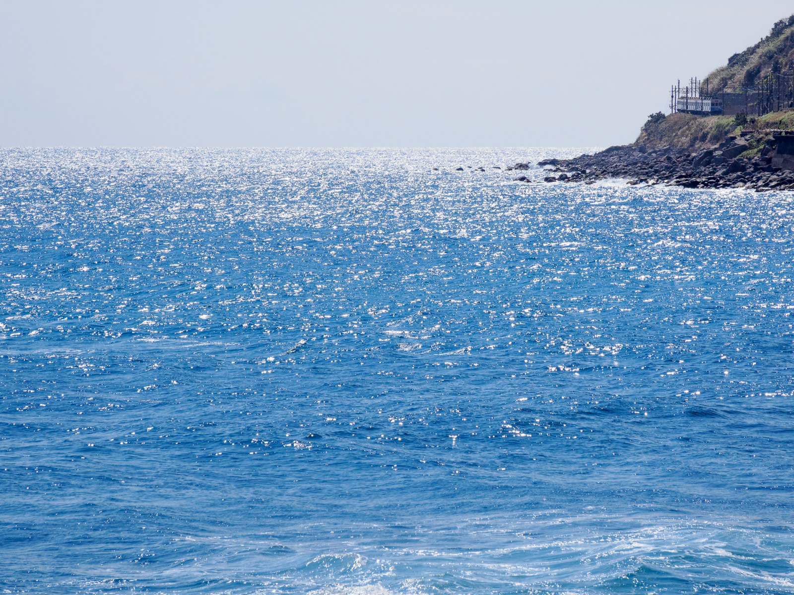 片瀬白田駅のそばにある海岸から見た、相模灘と伊豆急行の列車(2025年3月)