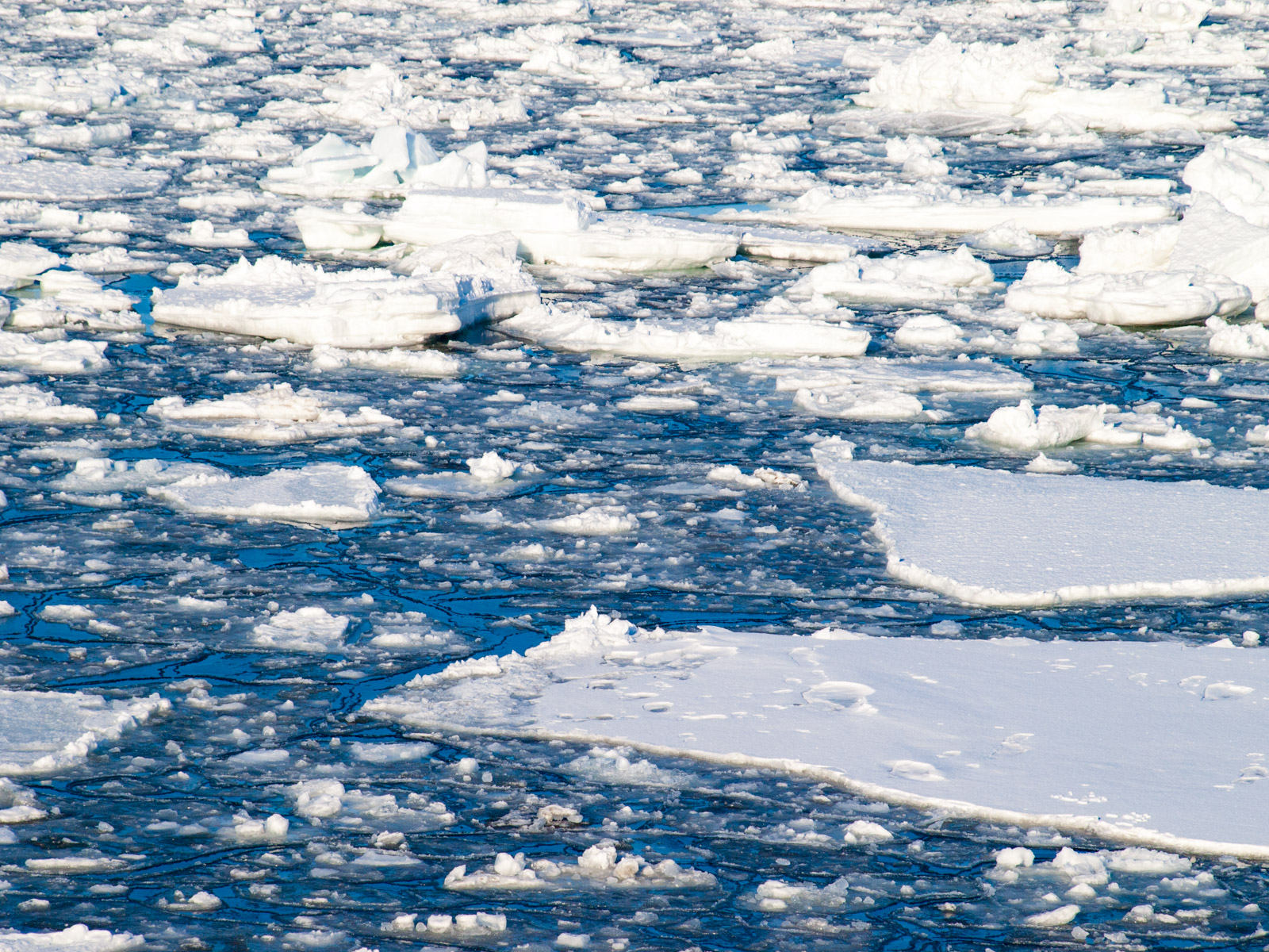北浜駅の展望台から見たオホーツク海の流氷（2013年3月）