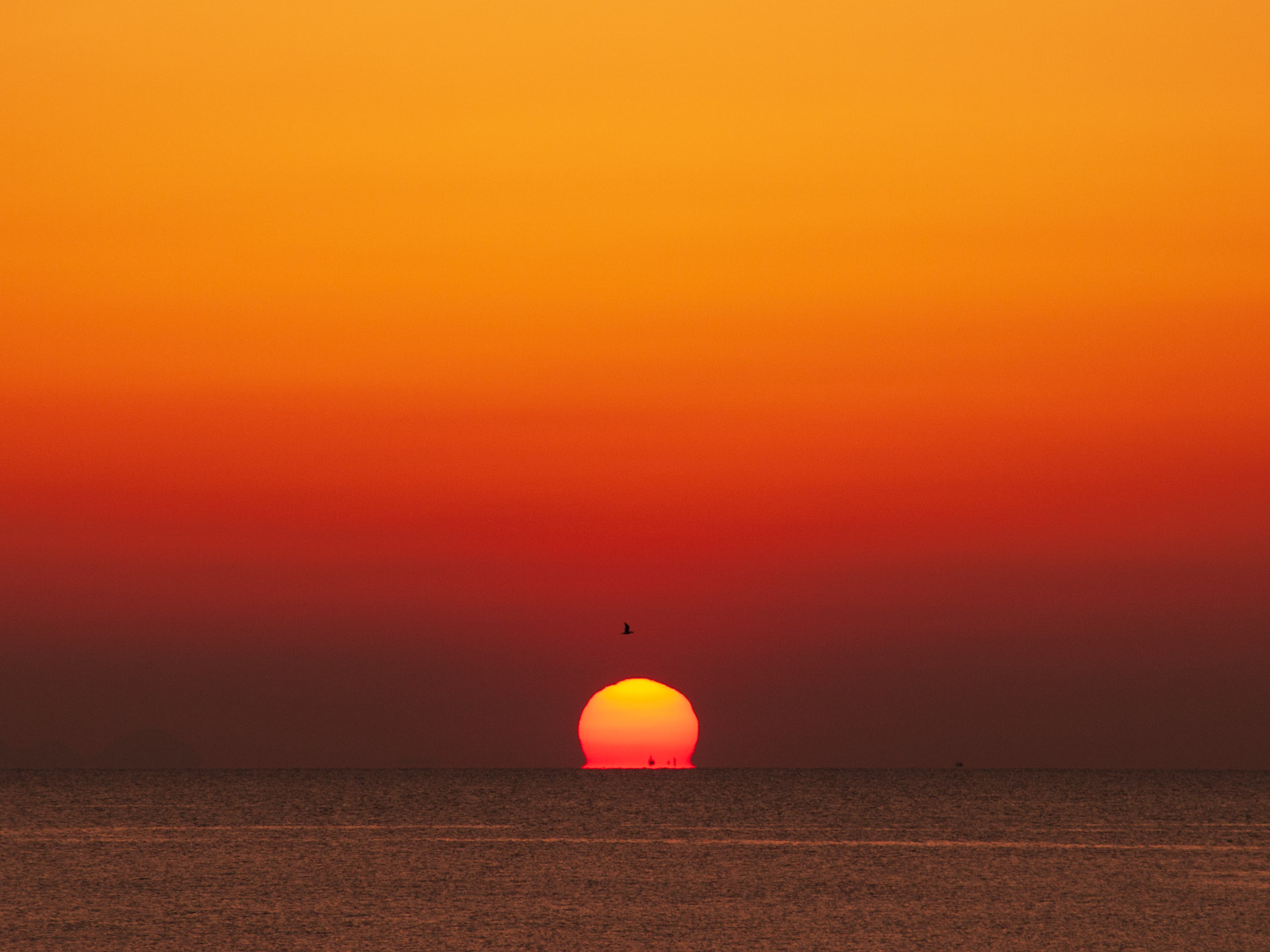 瀬戸内海に沈む「だるま夕日」（2013年3月）