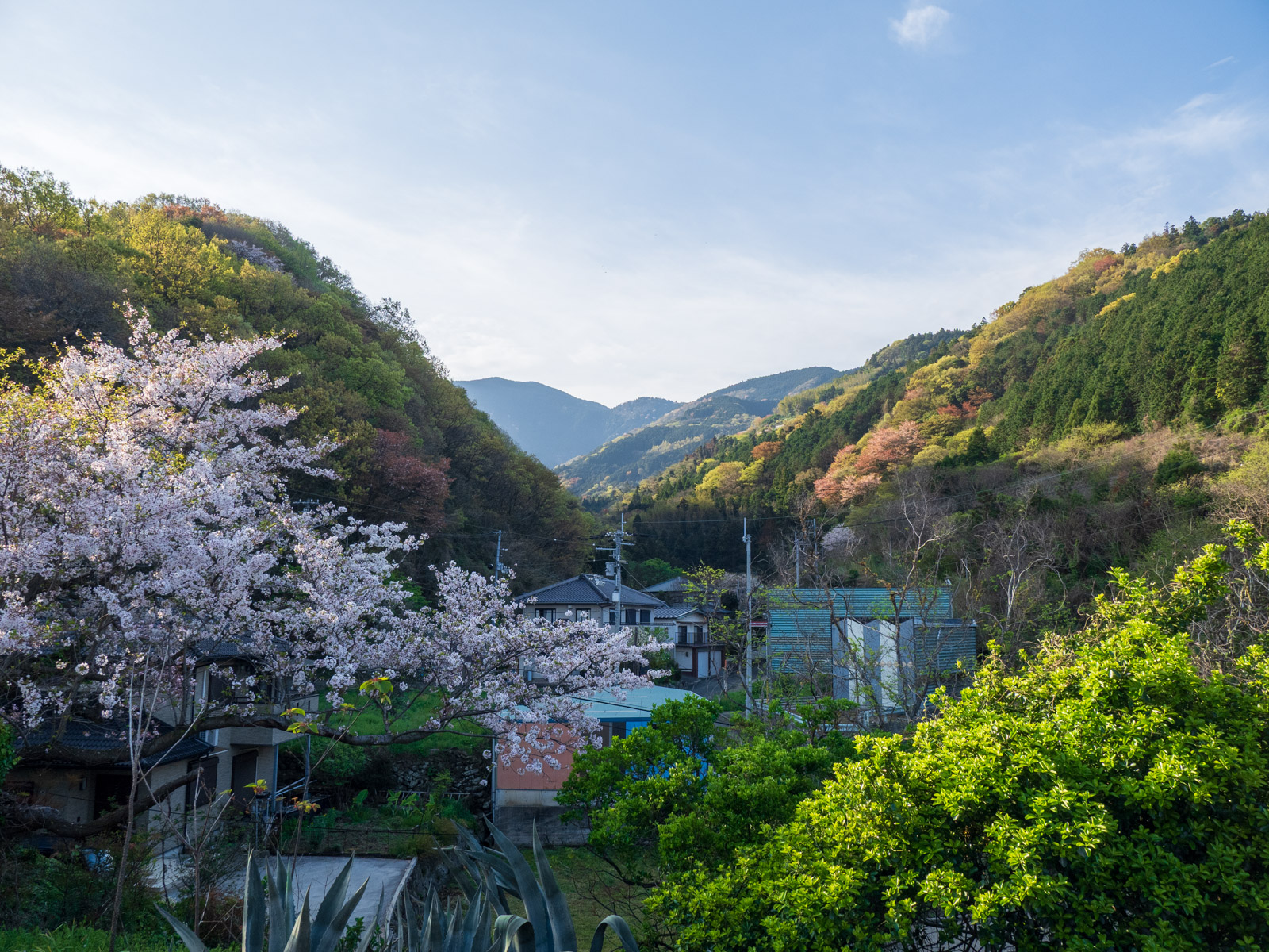 喜多灘駅のホームから見た、山側の風景（2024年4月）
