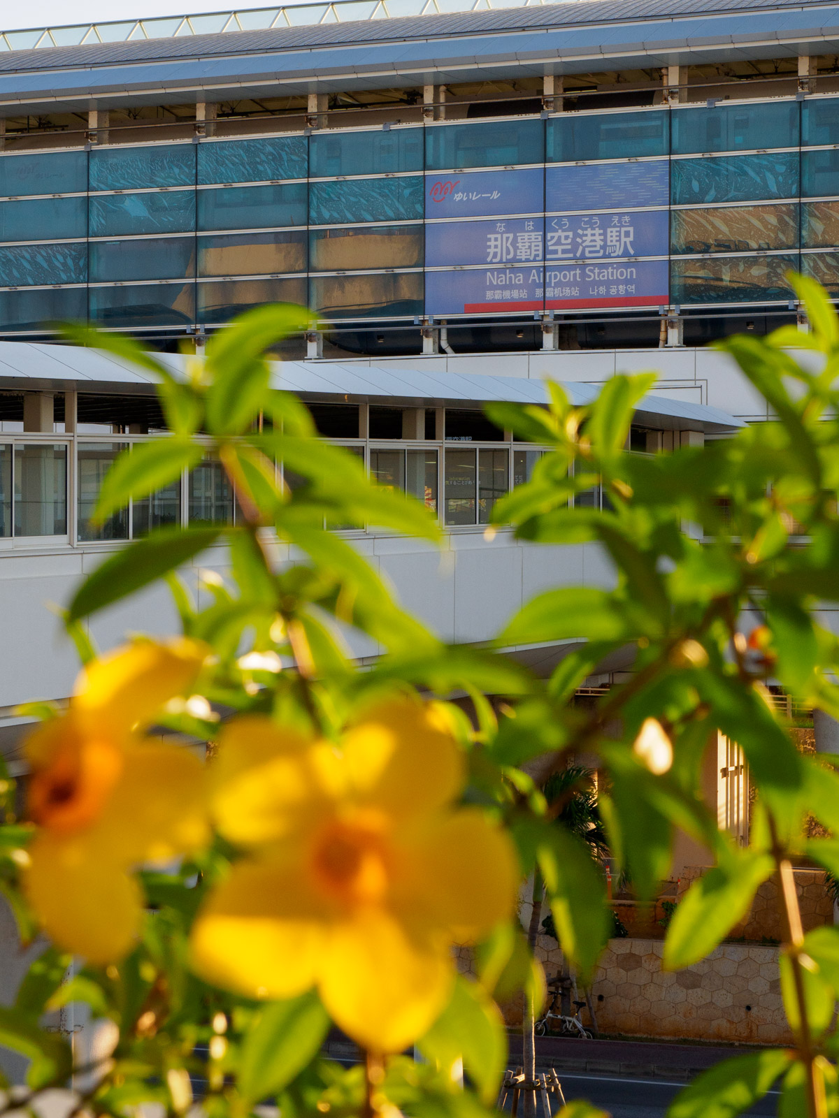 那覇空港駅と、空港からの通路に咲いた花（2020年11月）