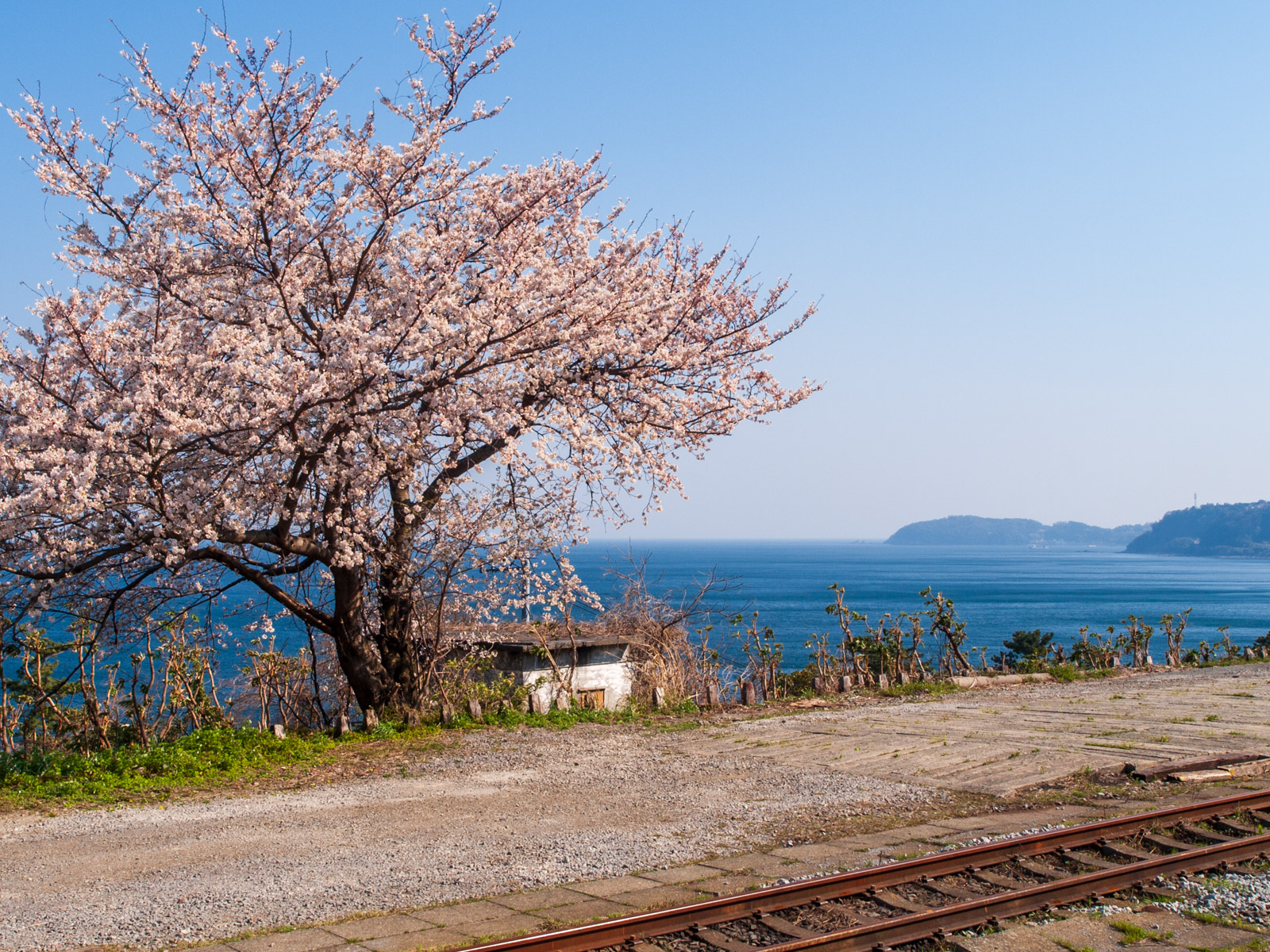 根府川駅のホームから見た真鶴半島（2022年3月）