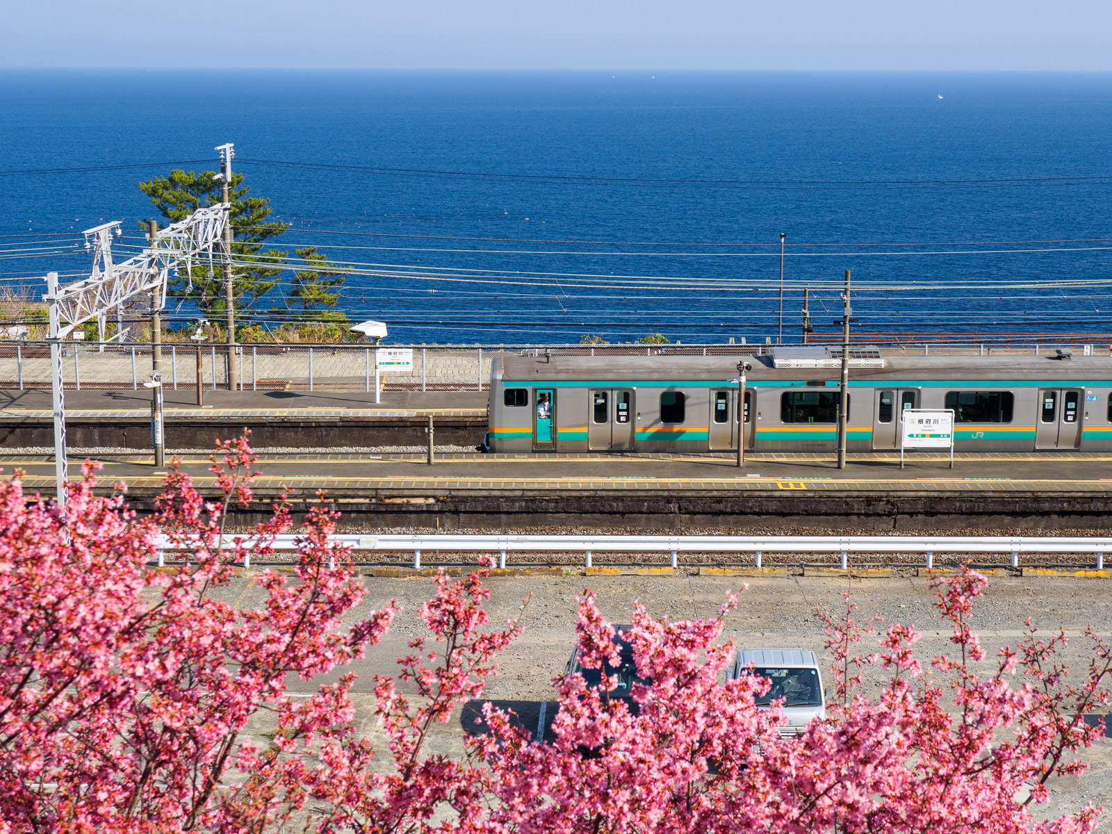 根府川駅そばの高台から見た、根府川駅のホームとオカメザクラ（2022年3月）