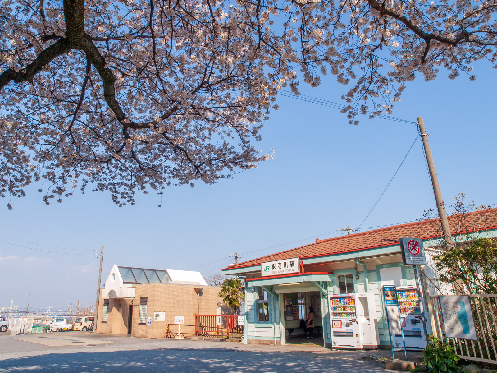 根府川駅の木造駅舎と、駅前のソメイヨシノ（2012年4月）
