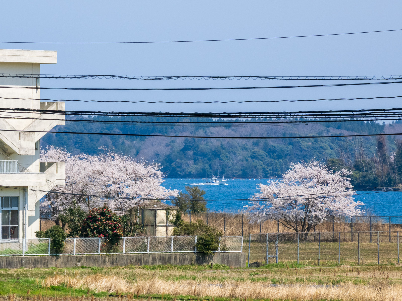 西岸駅のホームから見た七尾湾を横切る漁船(2025年4月)