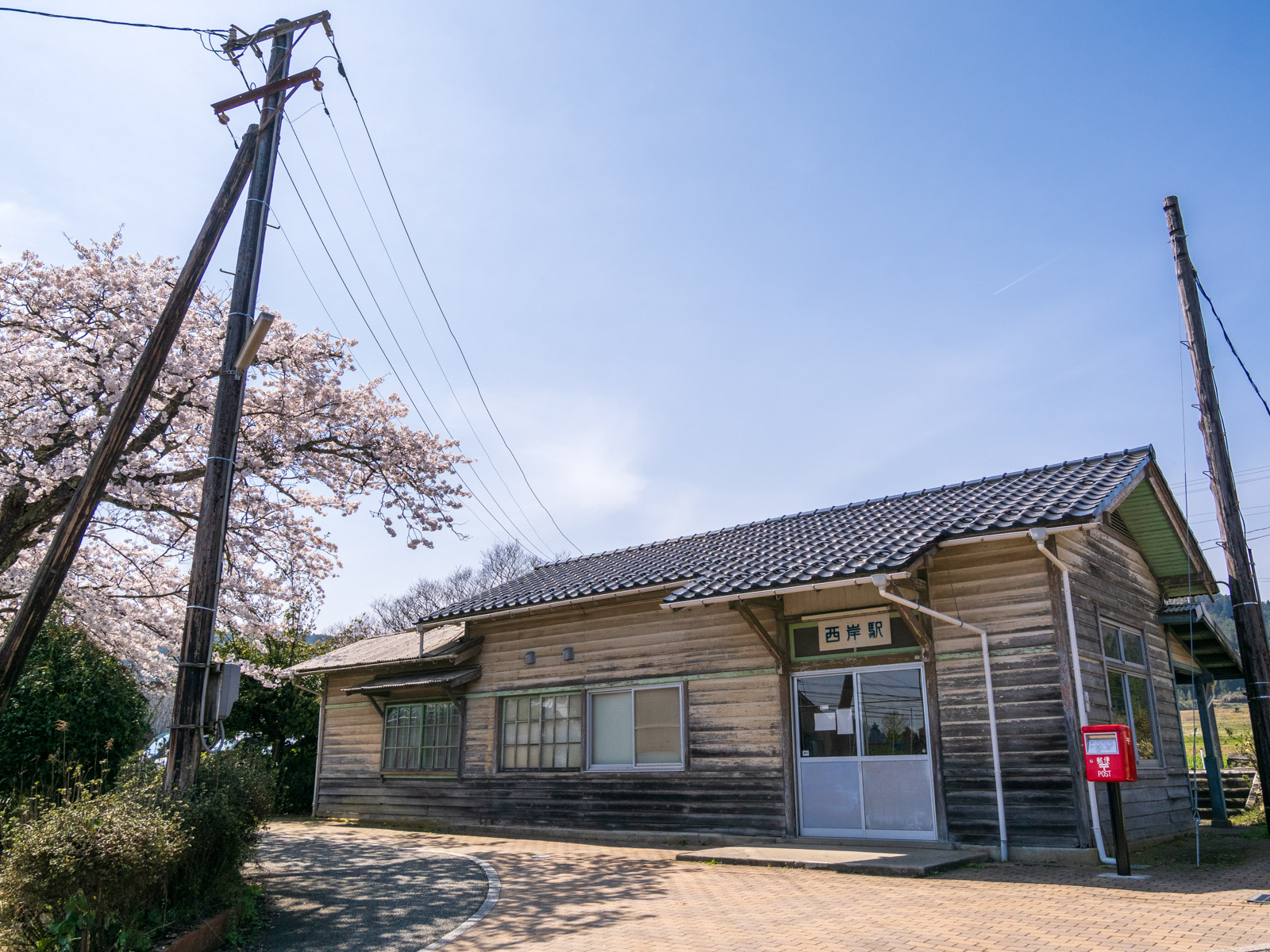 西岸駅の木造駅舎と駅前の桜(2025年4月)