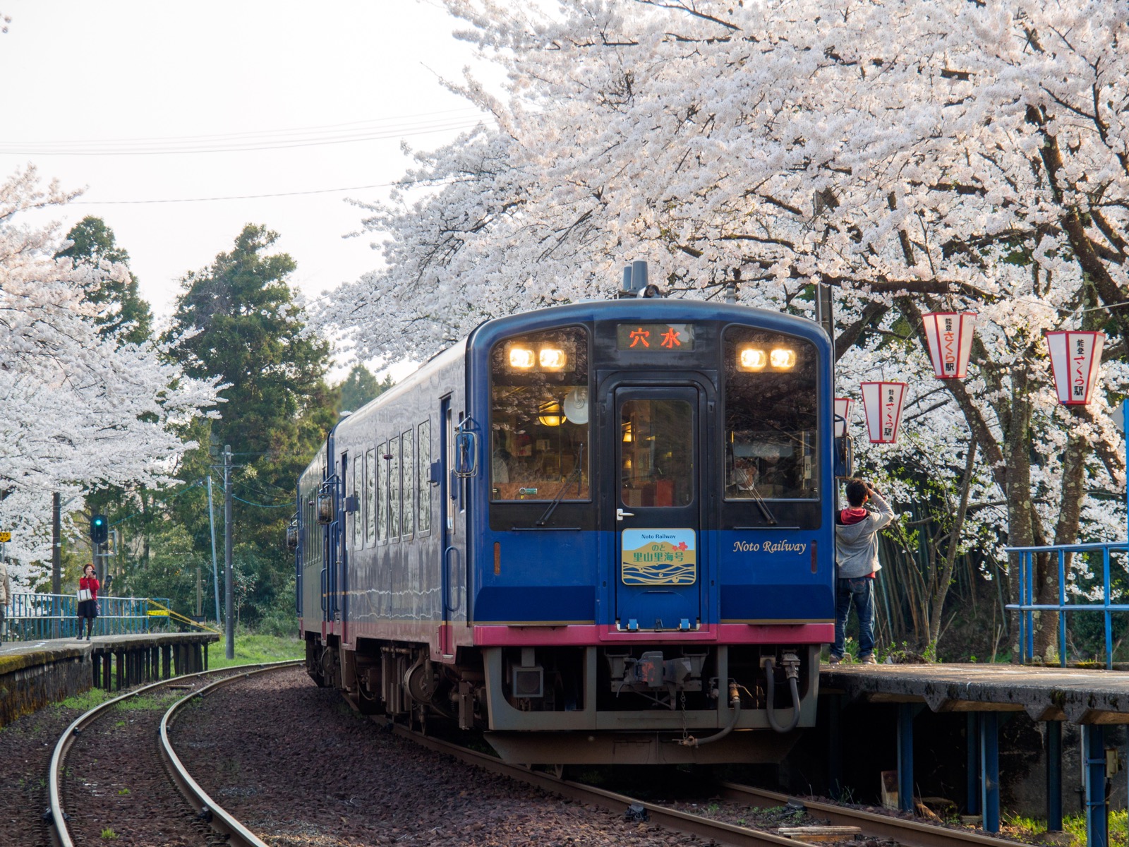 桜が満開の能登鹿島駅（能登さくら駅）に到着する「のと里山里海号」