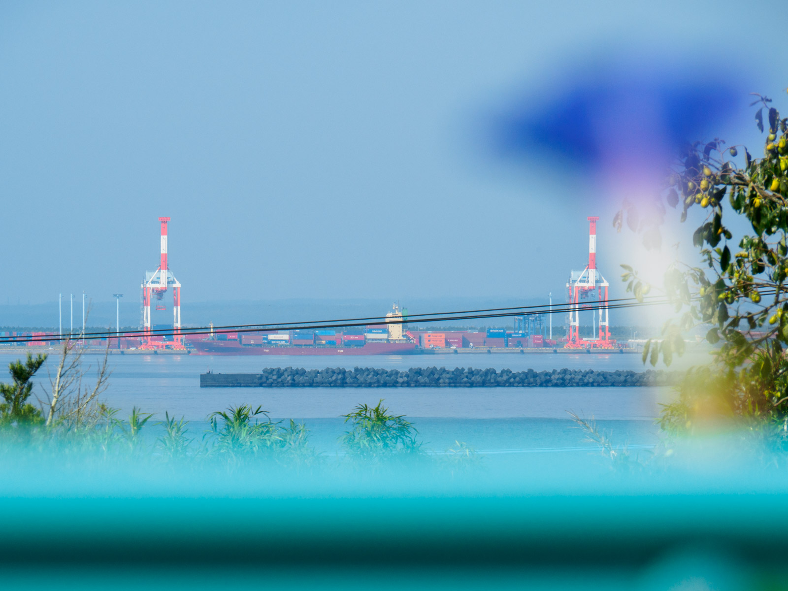 大隅夏井駅のホームから見た、アサガオ越しの志布志国際コンテナターミナル（2016年9月）