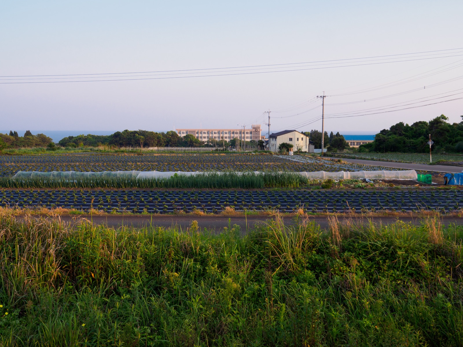 薩摩板敷駅のホームから見た畑と東シナ海