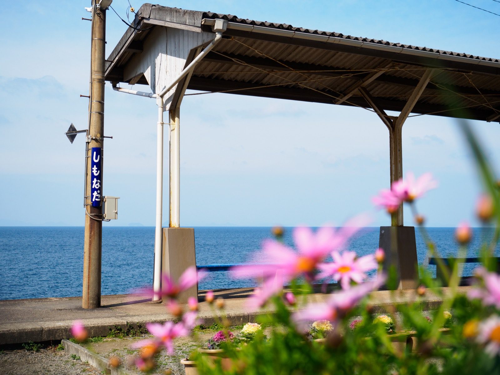 下灘駅のホームと花