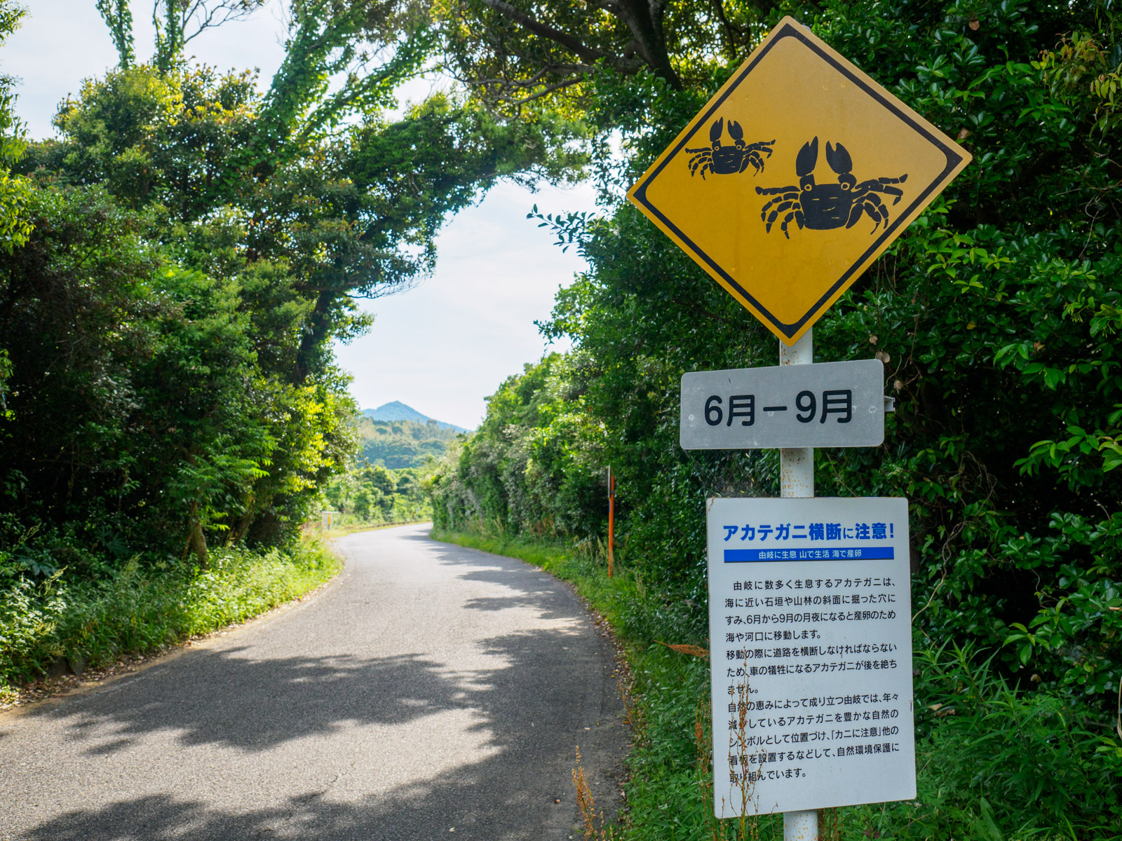 田井ノ浜駅の山側を通る県道にある、「アカテガニ横断に注意」の標識（2017年5月）