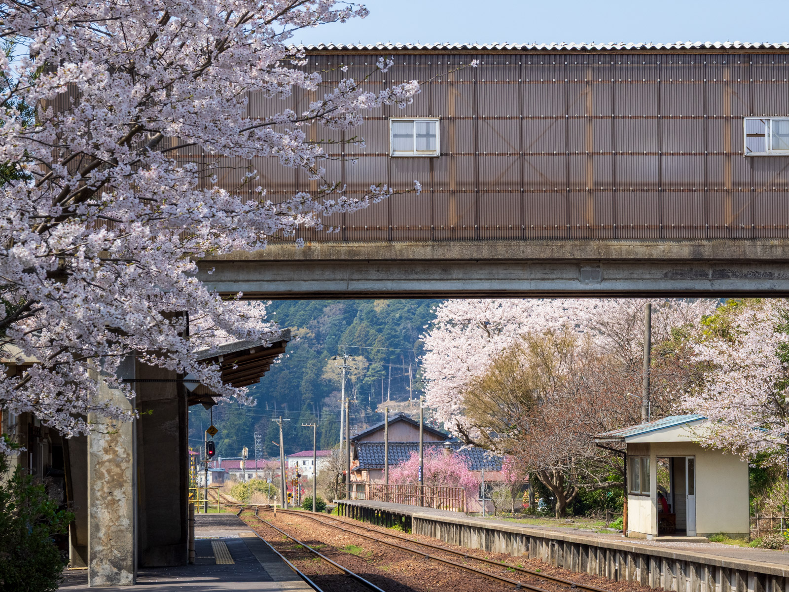 田鶴浜駅のホームと跨線橋(2025年4月)