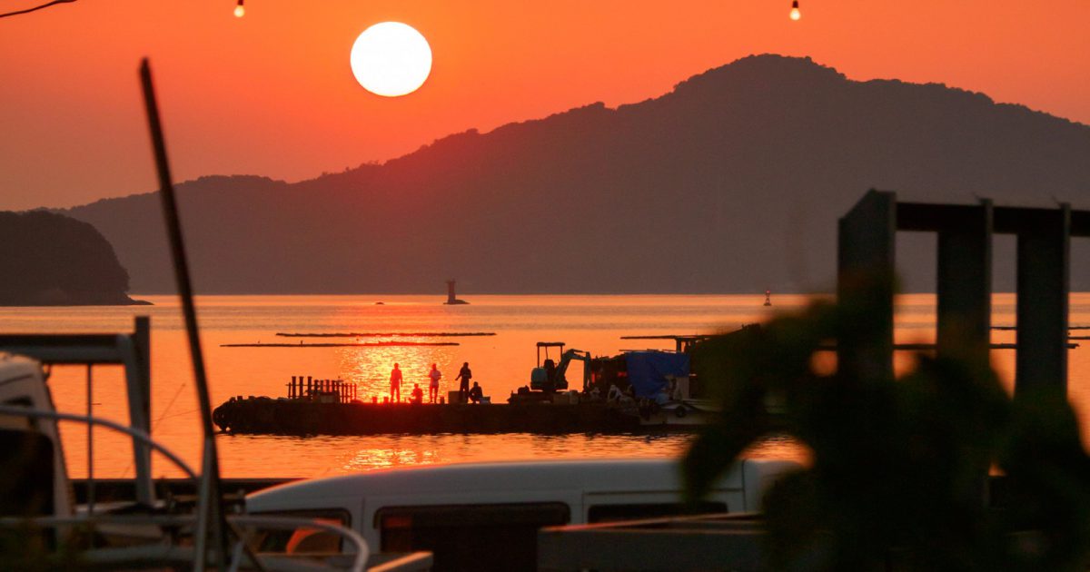 晴天の島 Newly built condominium] Central Garden Tsukishima the Tower